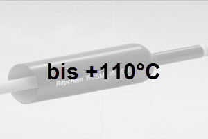 bis 110C Raytronics AG